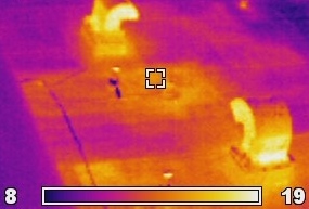 Thermographic-scan1
